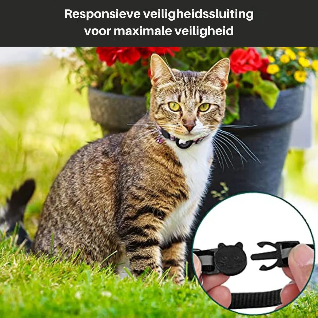 CAT GPS tracker collar with quick-release fastener and reflective design for improved night visibility - Image 5
