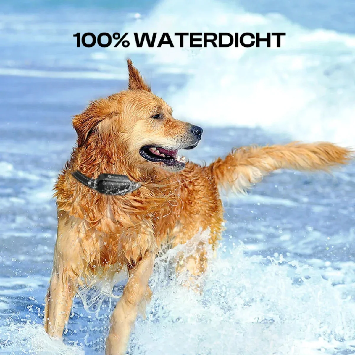 Electric dog training collar with remote control, waterproof, 16 adjustable shock levels, 1000 m range, beep and vibration modes - Image 6