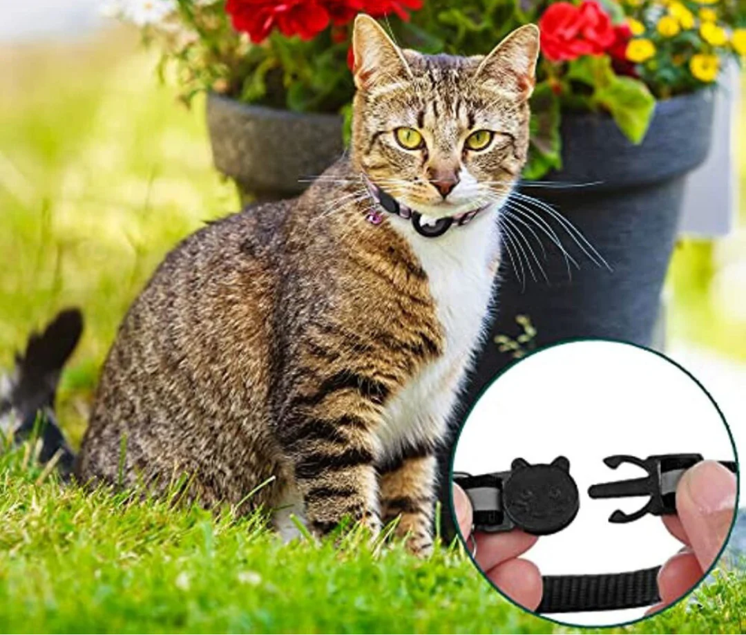 GPS Cat Tracker Collar with Quick Release, Reflective Design, Durable Nylon for Outdoor Safety and Comfort - Image 9