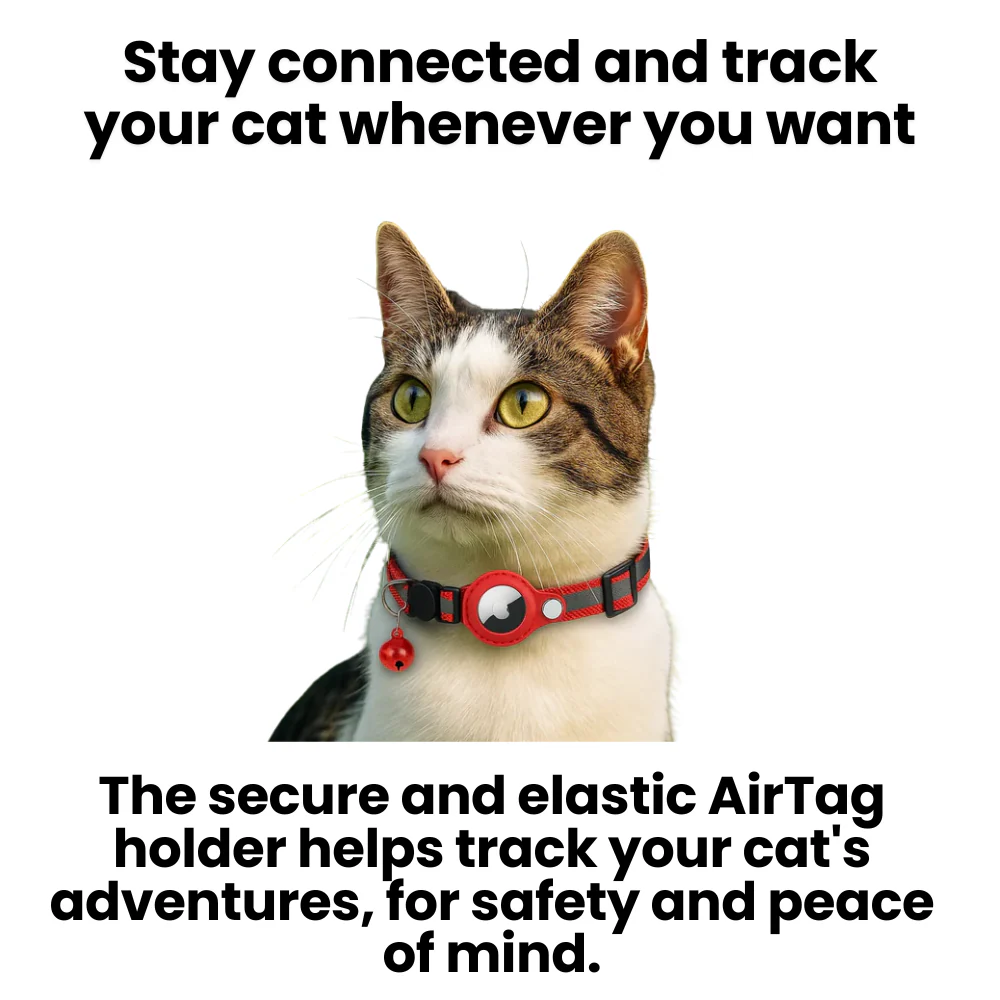 GPS tracker collar for cats | Quick-release fastener, reflective design and durable for safe outdoor adventures - Image 6
